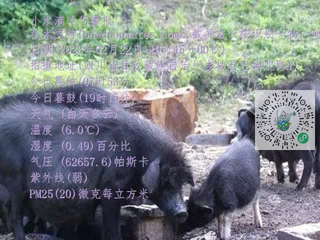 0.mp4