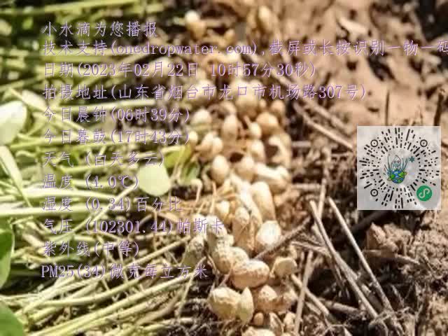0.mp4