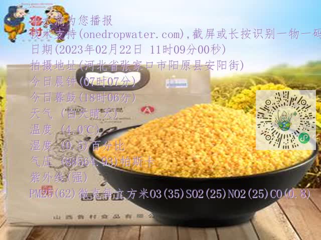 0.mp4