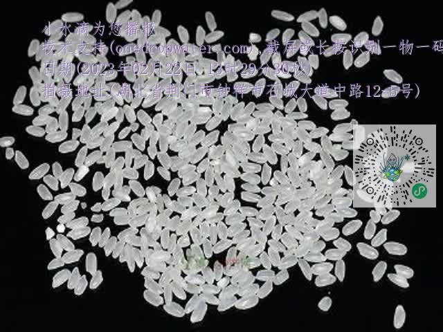 0.mp4