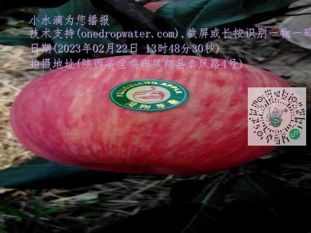 0.mp4