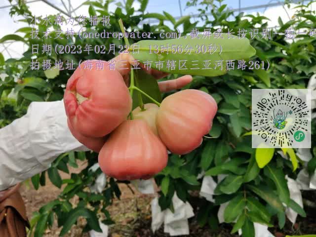 ea70551735311309afd40c2ff90052d2.mp4