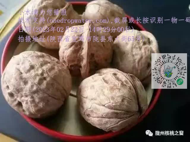 0.mp4
