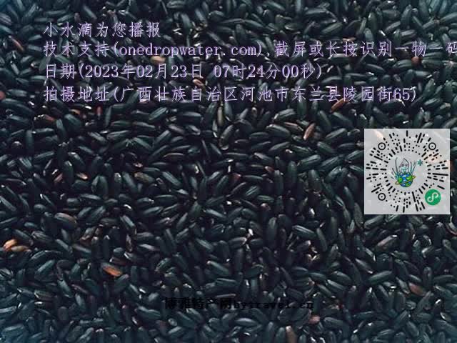 0.mp4