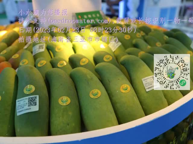010416aff2c0893faee07366861f32b6.mp4