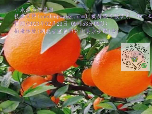 be6d6a0cd548b518276e5b2463864dbc.mp4