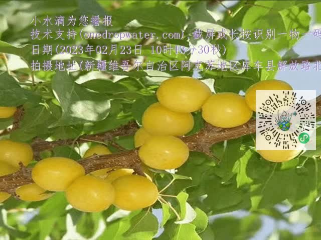 67804975fc4d755441263197e25d19dd.mp4
