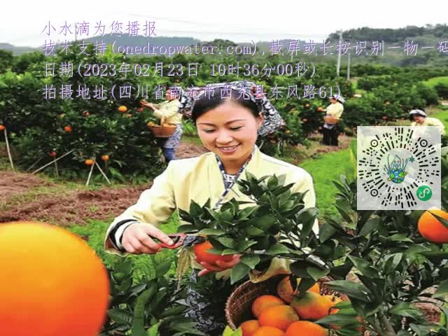 860123d0b263d2875c2c134ccbe621cc.mp4