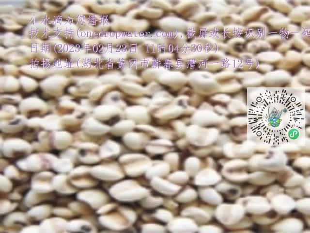 0.mp4
