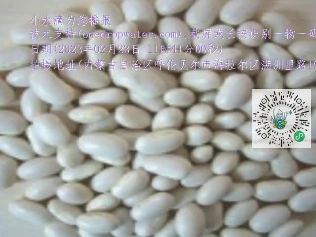 0.mp4