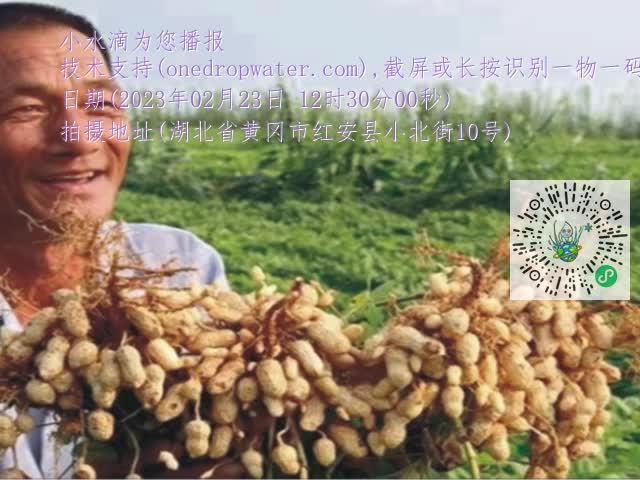 0.mp4