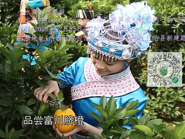 dd8090a4e4d4c7718ed15ab6692d8051.mp4