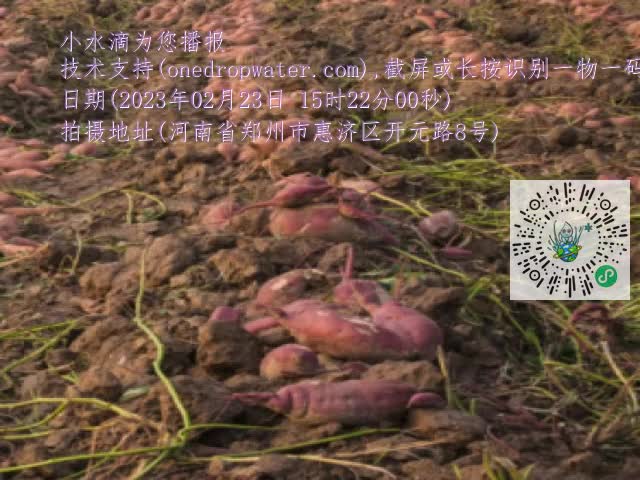 0.mp4