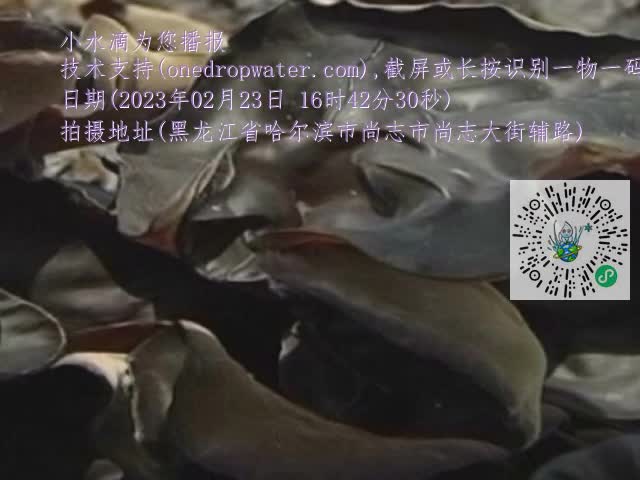 0.mp4