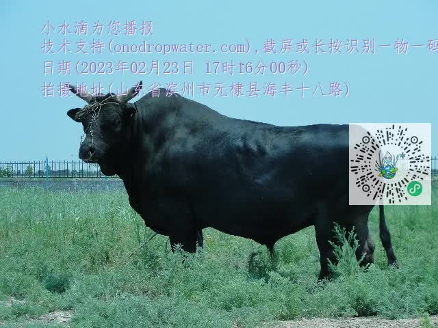 0.mp4