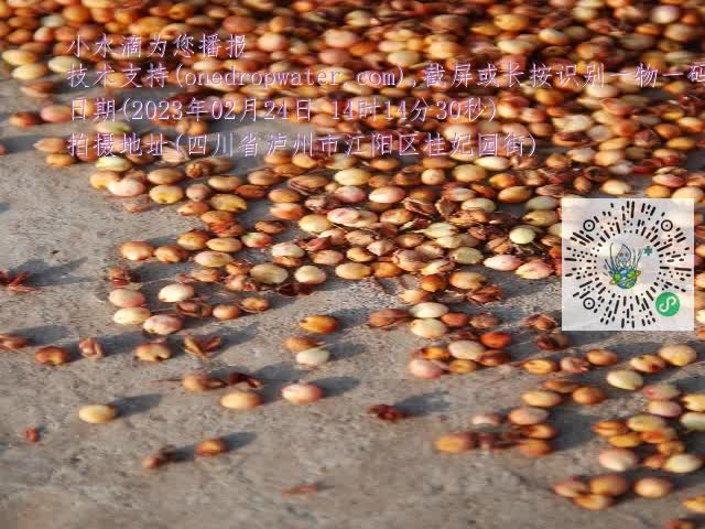 0.mp4