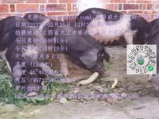 0.mp4