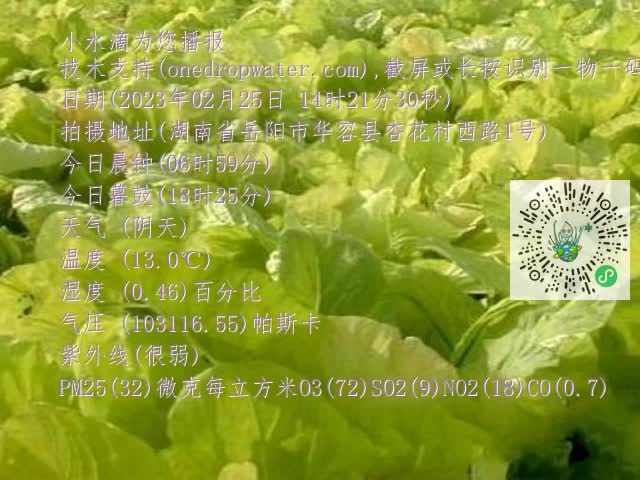 0.mp4