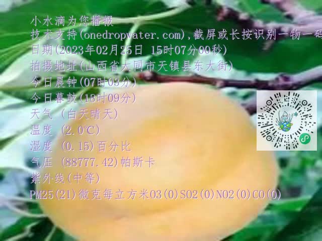 0.mp4