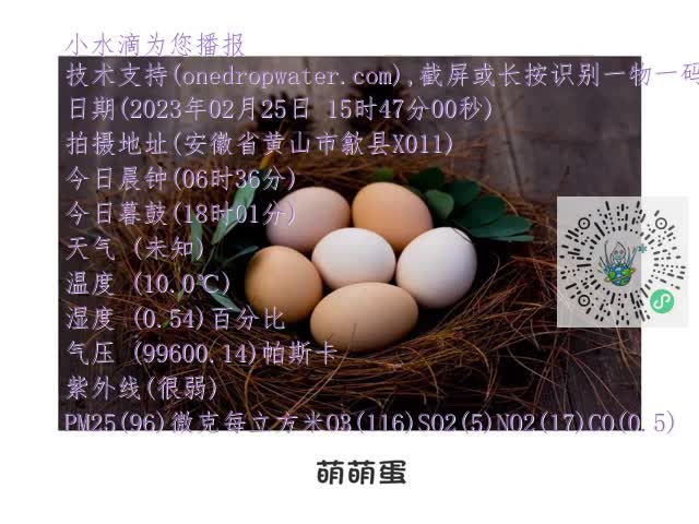 132b7dc3e65df8fe6cae9da93c0655d9.mp4