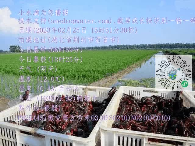 9c8b76a398c17587dc2fc48d5d266ed1.mp4
