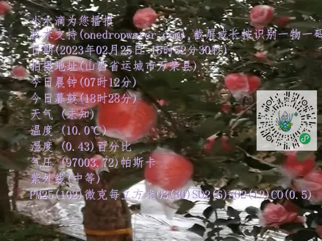 8cfd960e6b4a910dbb1d0699c1b1652b.mp4