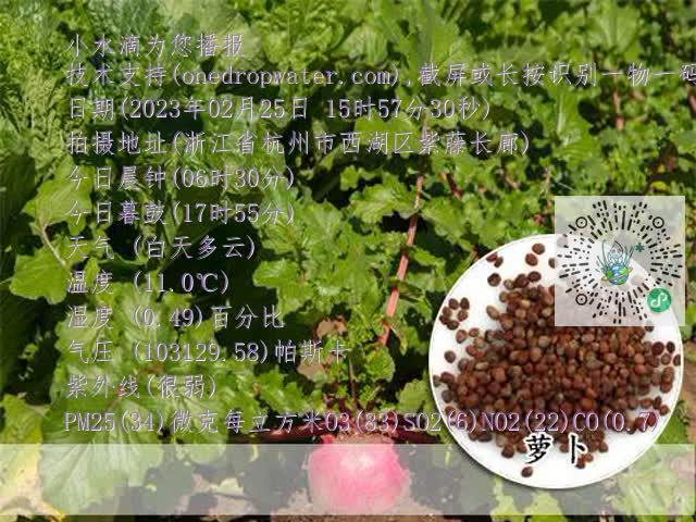 a4b4252d932f7ca1b7a5cee6b1a7bc19.mp4