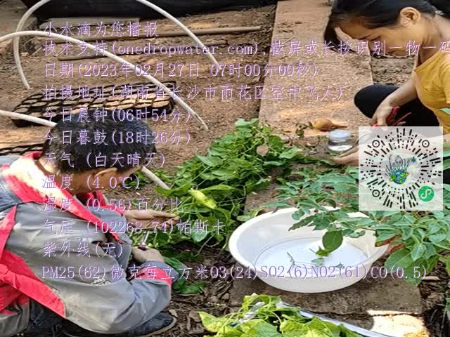 42c49bb832bb4527030c58b8a3850533.mp4