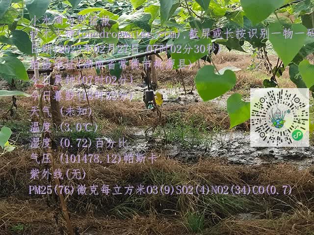 06c21ad90113e10a3bdfe99bc22fcd9a.mp4