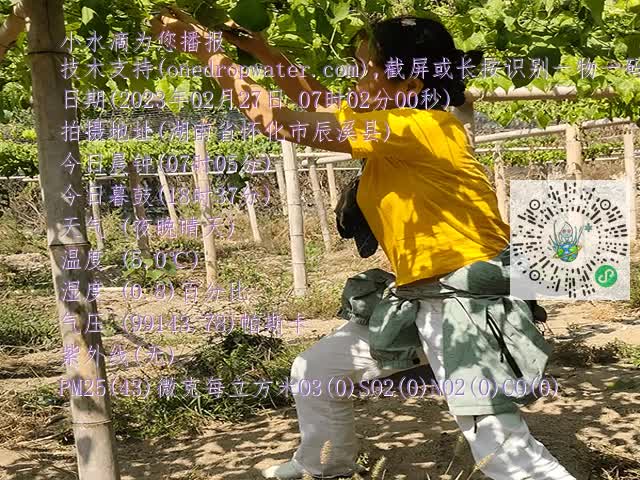 7b9f0b1d29265383552e82c99bdd5699.mp4
