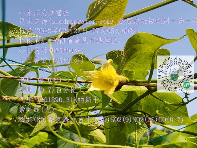 29128572bab94c99e71917476ab9e947.mp4
