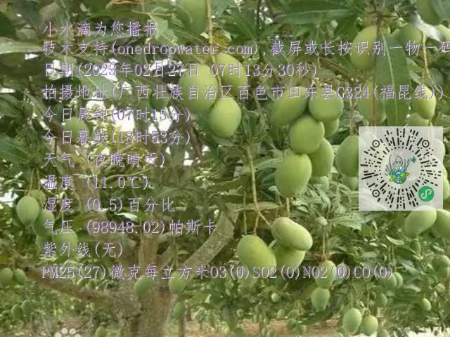 8ef11e115cff7ad3080e45ead4504c5b.mp4