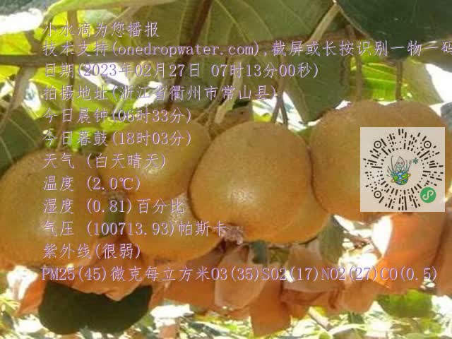 cf396d90520328060e002c0381a78e2e.mp4