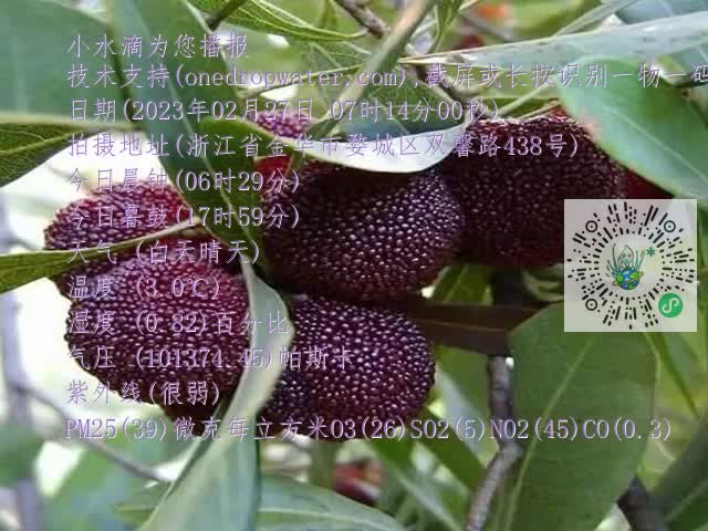 899648b17d27f0bf8a1d058acdc2cbf3.mp4