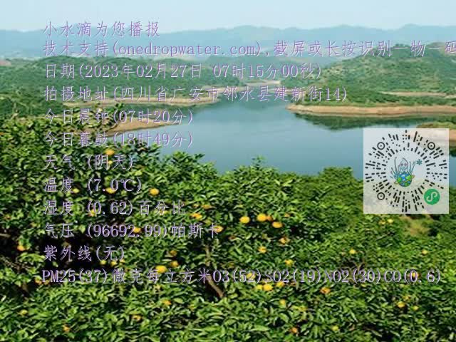 710dd9a2bbdcc7f599e8cf216ccee0a4.mp4