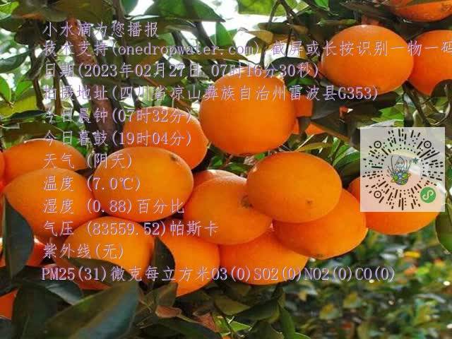 03266e80825dec241819f765aa078752.mp4