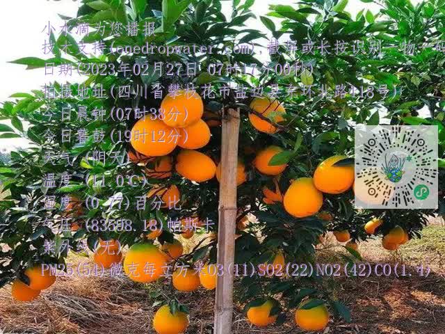 798093ca6c0a8be1c5d9a1179385bf1d.mp4