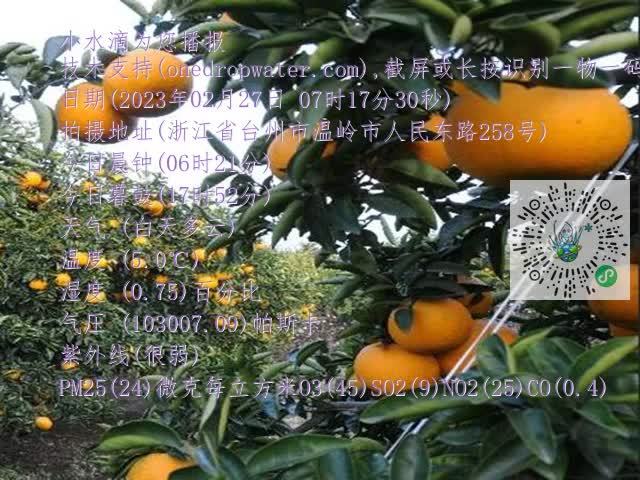 dcb54634031d6cd8388b95b924b82b1f.mp4