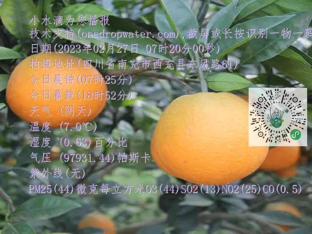 549f521e5c04fd184cea909616b9b61f.mp4
