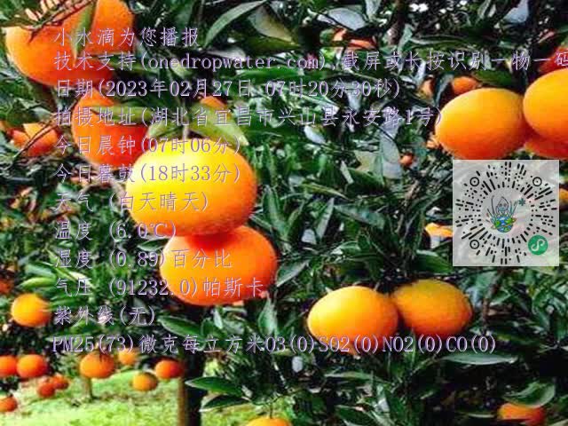 9f27c15a54c36c088ceecf758502d516.mp4