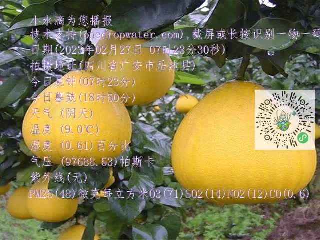 9f39d7d4e40f5547f9f476f959bff4f0.mp4