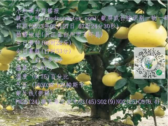 58baec20582cfd55aeb86239075ed9c7.mp4