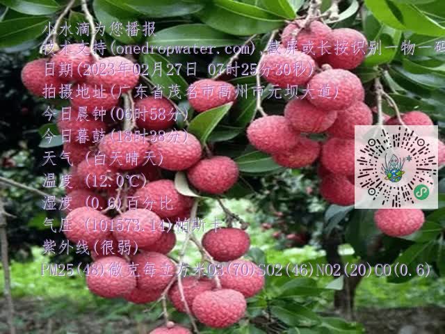 fa89a57207479821c701b64d8ff32aa6.mp4