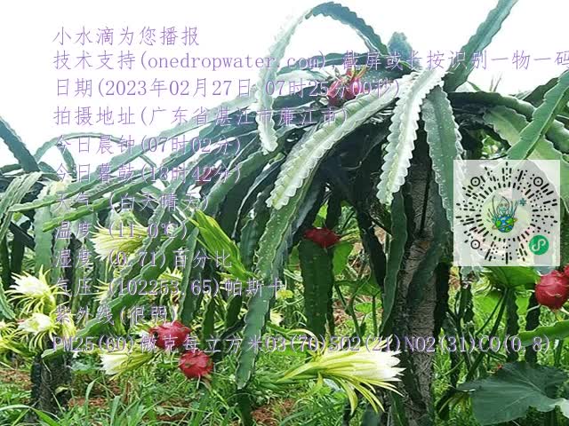 7e9a1e27ad1aa5fc3bd75c59ea50888e.mp4
