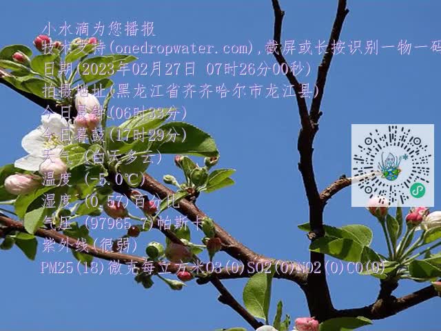 d77827fd2f4aa417a715d1dc90323eb3.mp4