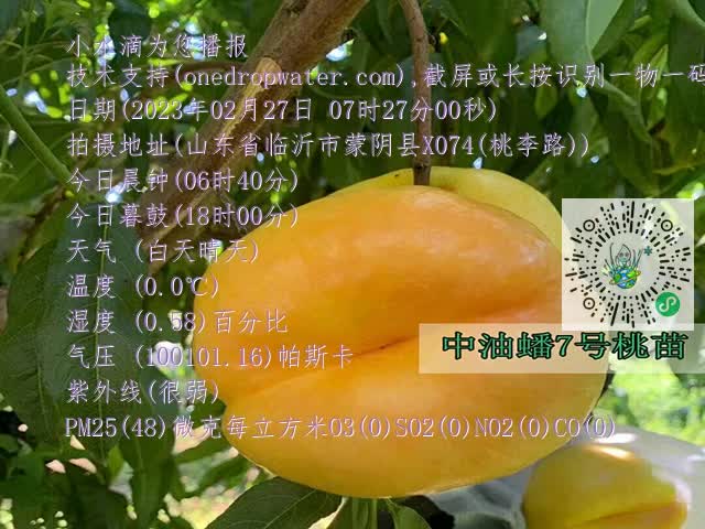ca787f73a8798aa43d40934c56412274.mp4