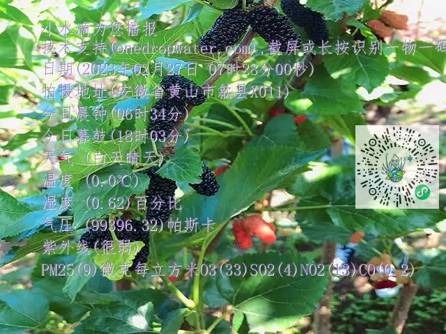 18053b670e2cd33b08f50659850fbd57.mp4
