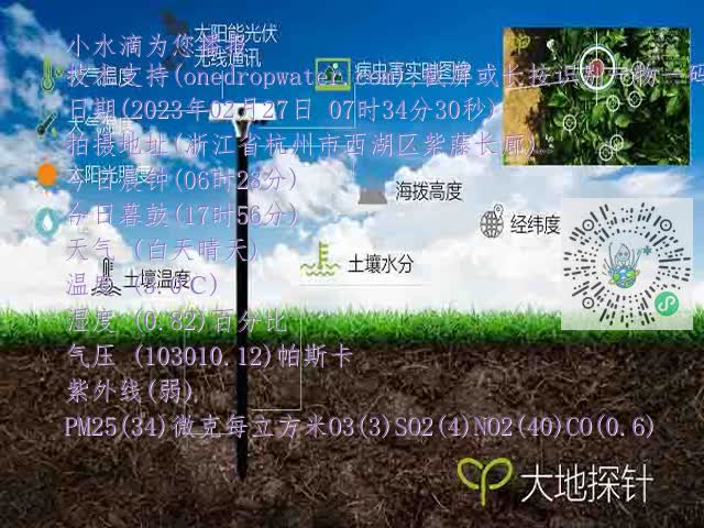 c5f5e29d78ef5b5e9254e5c36352b567.mp4