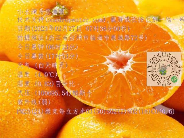 d3f896f95a46bae654656b85bf3e5dd2.mp4