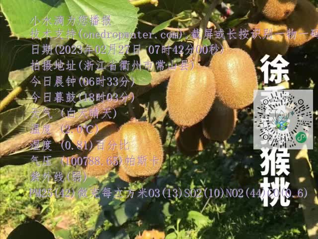 9b0130096f56a94b21ab197725310393.mp4